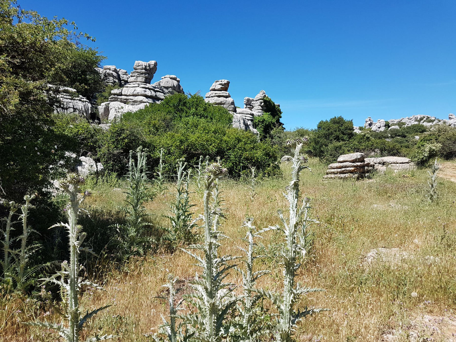 Torcal de Antequera